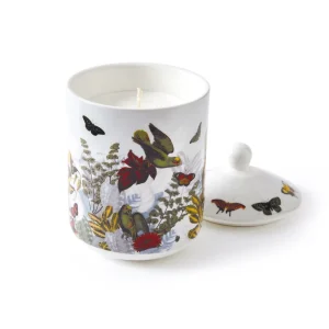 Bougie parfumée en pot de porcelaine - Jardin D'hiver - Figuier - durée de combustion 65h - 315 g*CXLbyChristianLacroix Best
