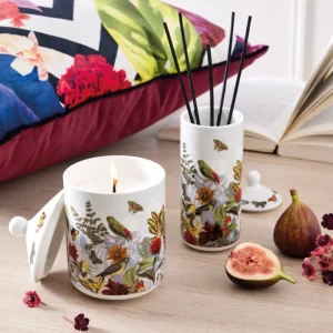 Bougie parfumée en pot de porcelaine - Jardin D'hiver - Figuier - durée de combustion 65h - 315 g*CXLbyChristianLacroix Best