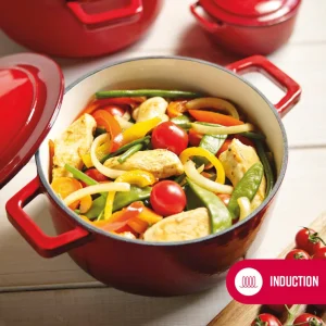 Cocotte en fonte ronde - 25 cm*Brandt Clearance