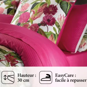 DRAP-HOUSSE - GARDEN Micro Fuchsia*CXLbyChristianLacroix New