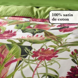 DRAP-HOUSSE - GARDEN Uni Vert*CXLbyChristianLacroix Best