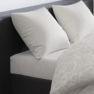 Drap-housse - Taupe clair*CXLbyChristianLacroix Online