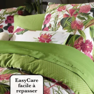 SET DE 2 TAIES D'OREILLER - Garden - Vert*CXLbyChristianLacroix Sale