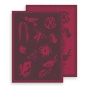 SET DE 2 TORCHONS PRIMAVERA - Gris foncé / Bordeaux*CXLbyChristianLacroix Best