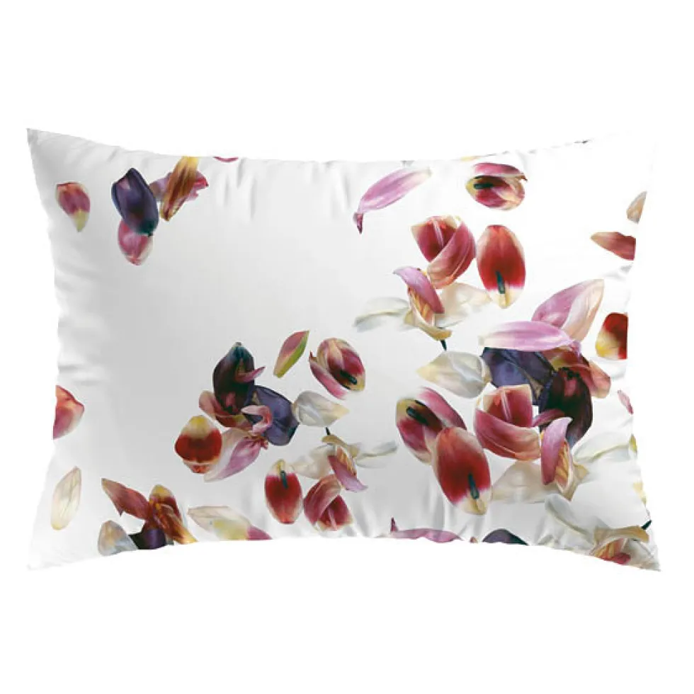 taies_doreiller_rectangul_2-4.webp Taie(s) d'oreiller rectangulaires - Aurore Blanc*Cacharel Fashion