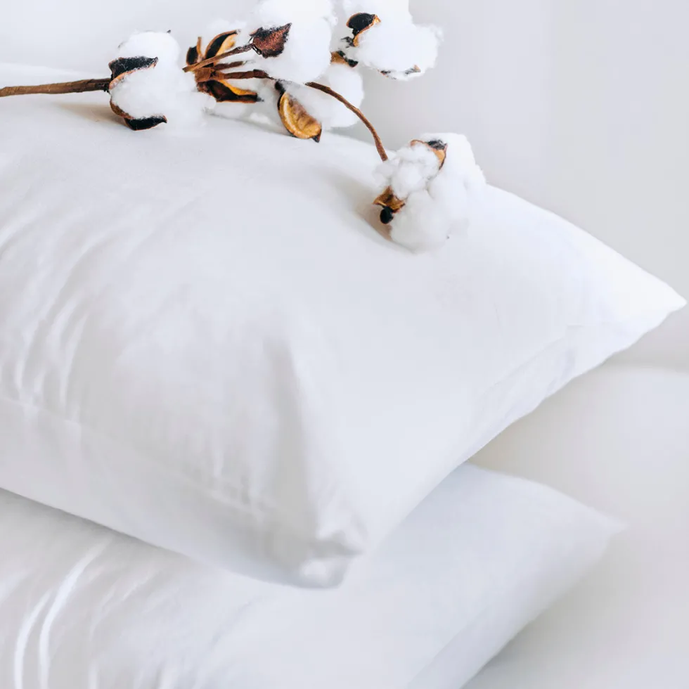 taies_doreiller_satin_de__2-131.webp Taie(s) d'oreiller satin de coton - Uni Blanc*Rodier Fashion
